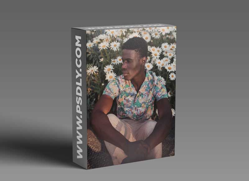 Jessica Whitaker FRIDAY Lightroom Preset