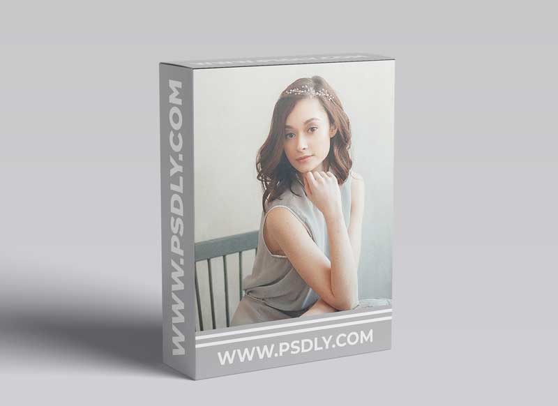 Pavel Vozmischev - Vol.1 Portrait, Food and Toon Presets