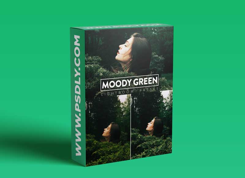 10 Moody Green Lightroom Presets