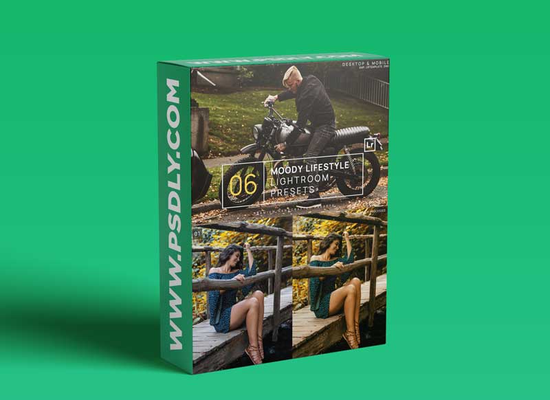 6 Moody Lifestyle Lightroom Presets + Mobile