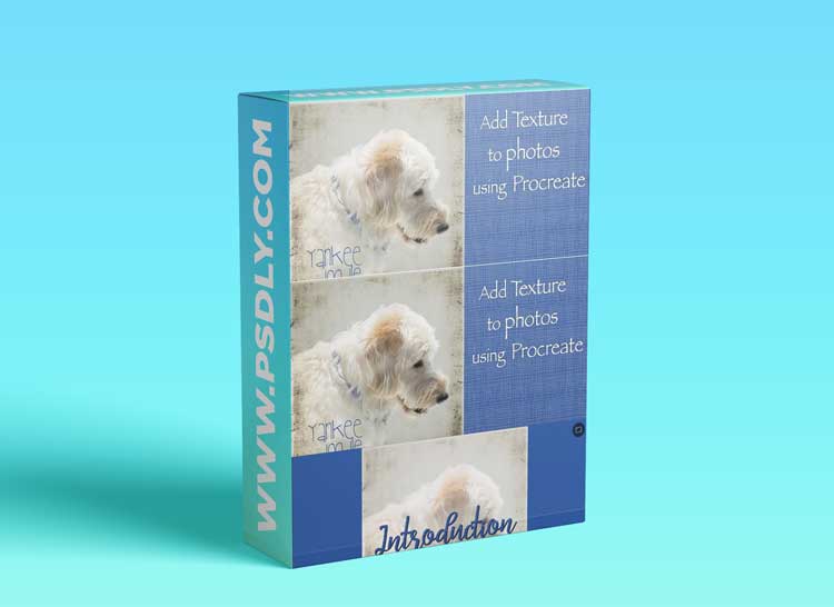 Add Textures to Photos using Procreate