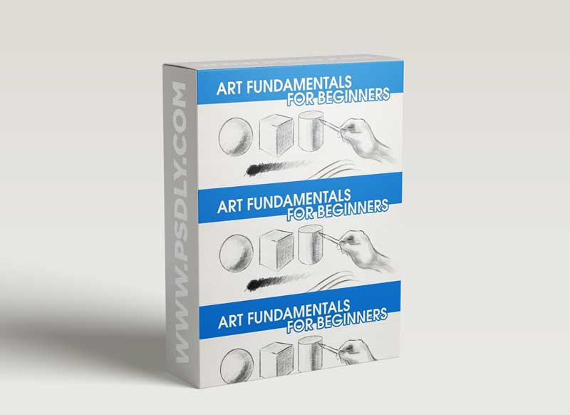 Art Fundamentals for Beginners - Line, Form and Shading