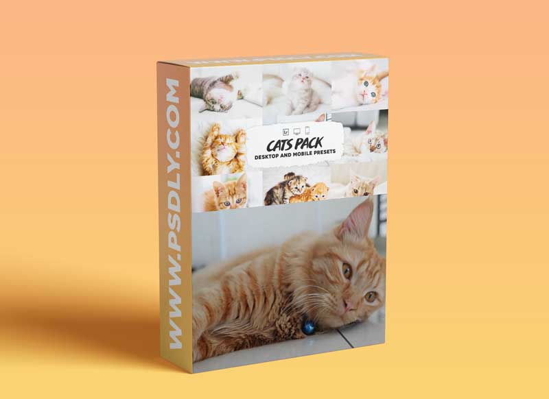 Cat Lightroom Presets