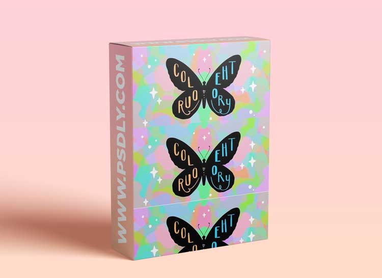 Colourful Canvas : Colour Theory For Beginners