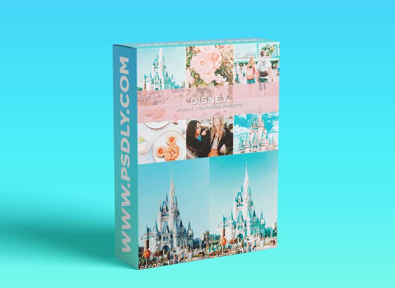 CreativeMarket - 5 Disney Lifestyle Presets 5804393