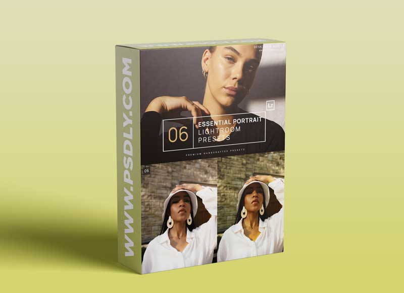 CreativeMarket - 6 Essential Portrait LR Presets 5948757