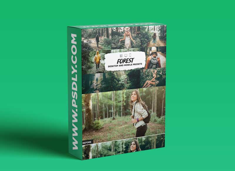 CreativeMarket - Forest Lightroom Presets 5953341
