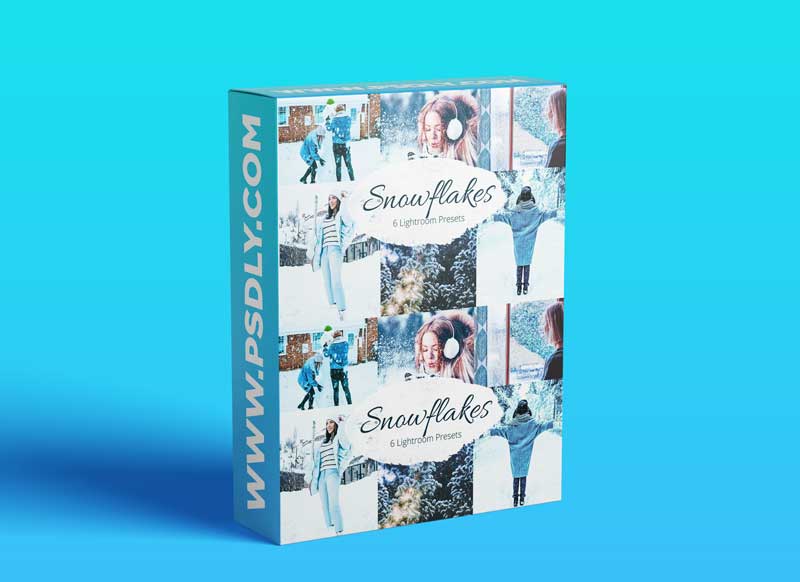 CreativeMarket - Snowflakes Lightroom Presets bundle 5881215