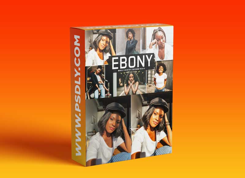 Ebony Mobile & Desktop Lightroom Presets