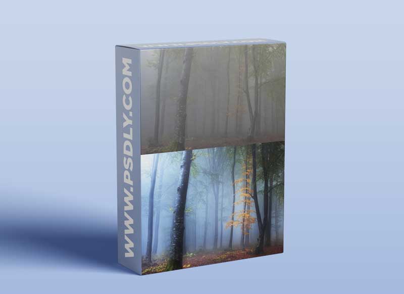 Editing Foggy Forests in Photoshop