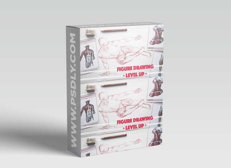 Figure Drawing: LEVEL UP