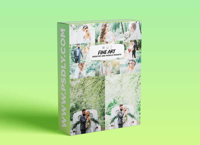 Fine art wedding lightroom presets