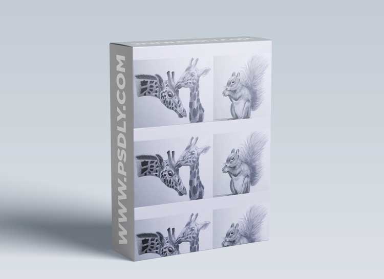 How to Draw and Sketch Animal with Pencil Step by Step