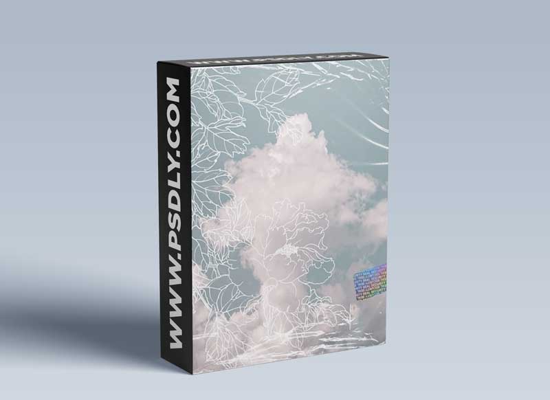 Lil Ness Soundkit Phase 1