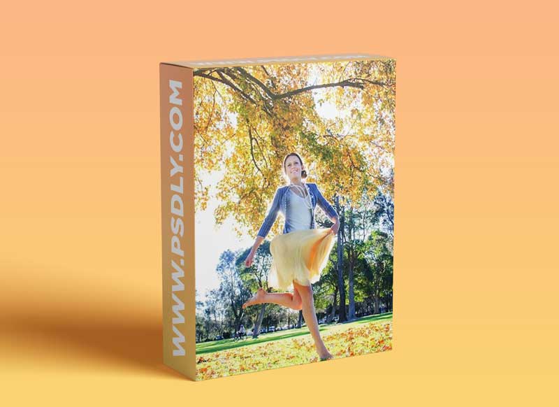 Photographic Lighting: The New Easy Way To Learn How to Use Light in your Photographs