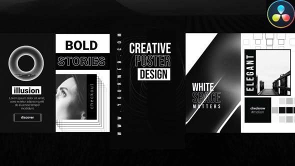 Videohive Instagram Monochrome Stories 30048340