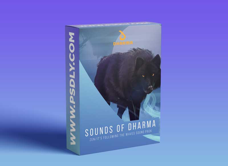 Sounds of Dharma Zen It Following The Waves Sound Pack