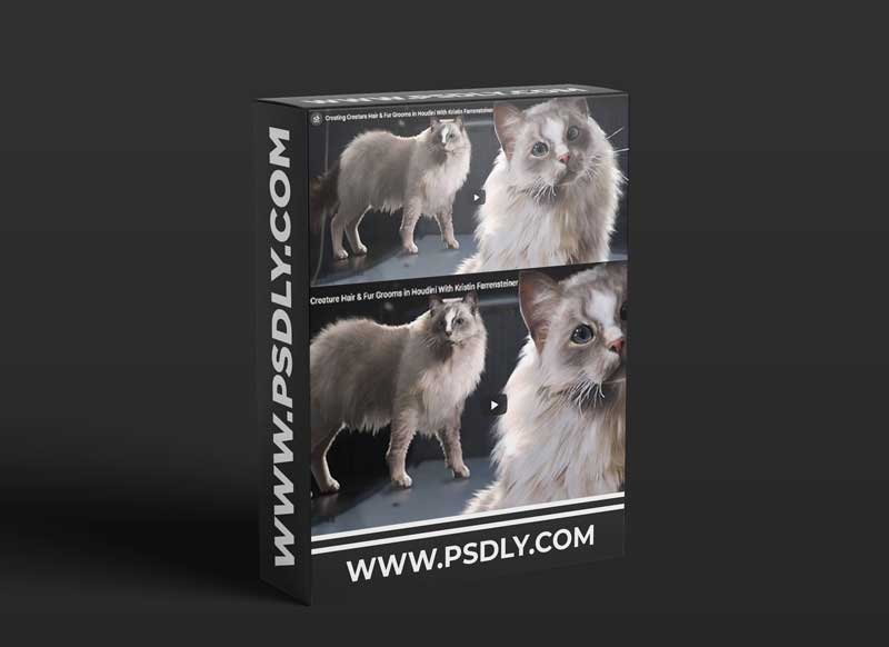 The Gnomon Workshop – Creating Creature Hair & Fur Grooms in Houdini with Kristin Farrensteiner