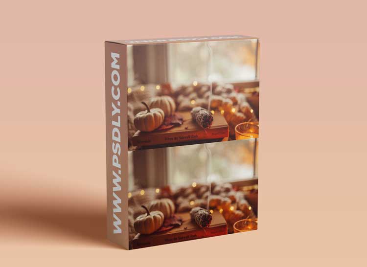 The Unraveled Academy - Aesthetics + Still Life Creative Practice with Sarah Driscoll