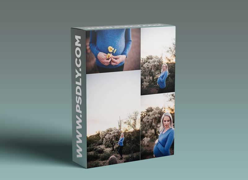 Twig & Olive Photography - Flower, Fields + Flare: Outdoor Maternity Sessions