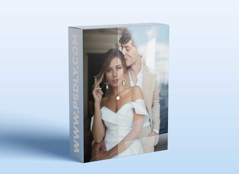 Zhenya Swan Presets - Metallic Blues