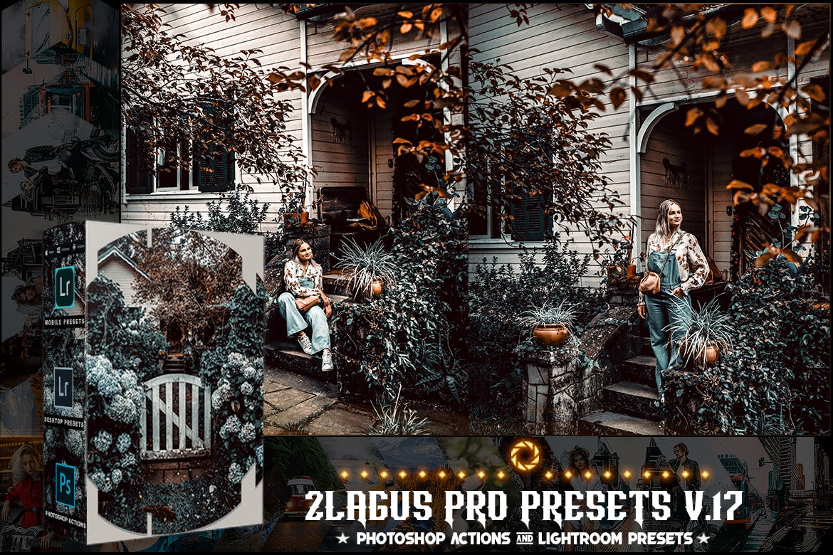 PRO Presets - V 17 - Photoshop & Lightroom