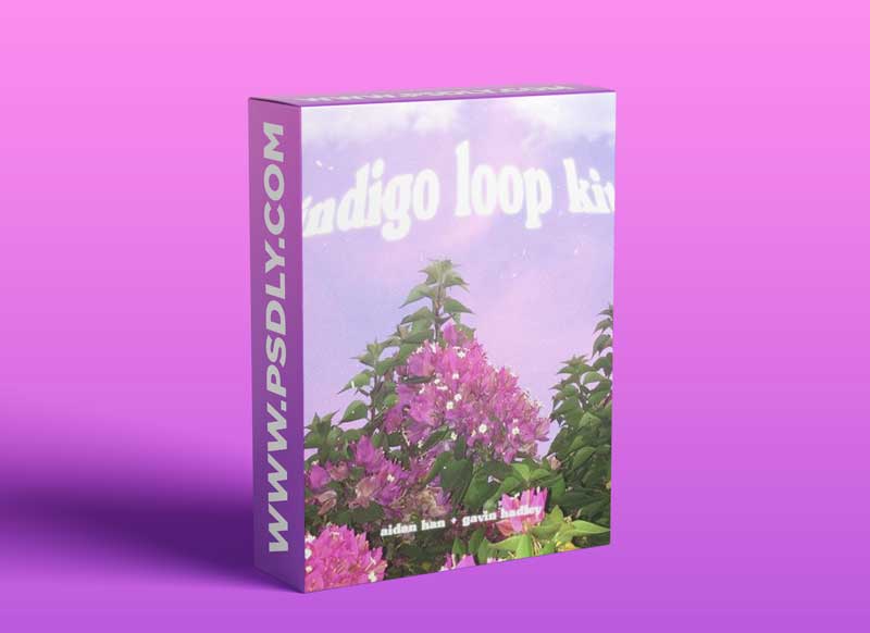 Aidan Han and Gavin Hadley Indigo [guitar loop kit]
