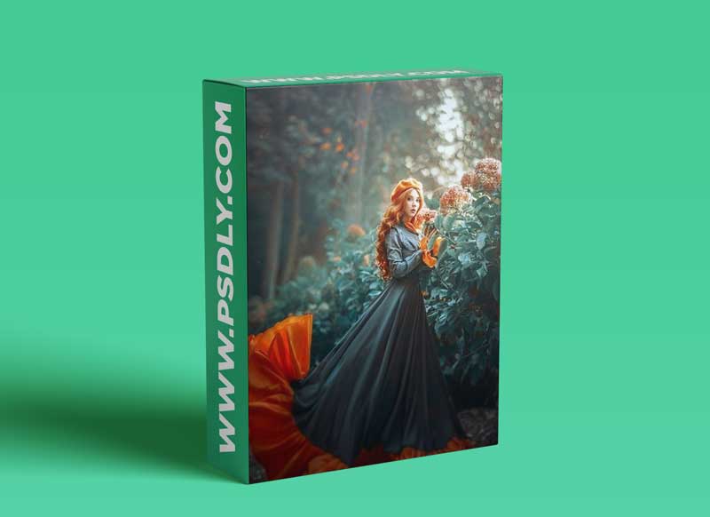 Amina Donskaya - Fine Art Tutorial