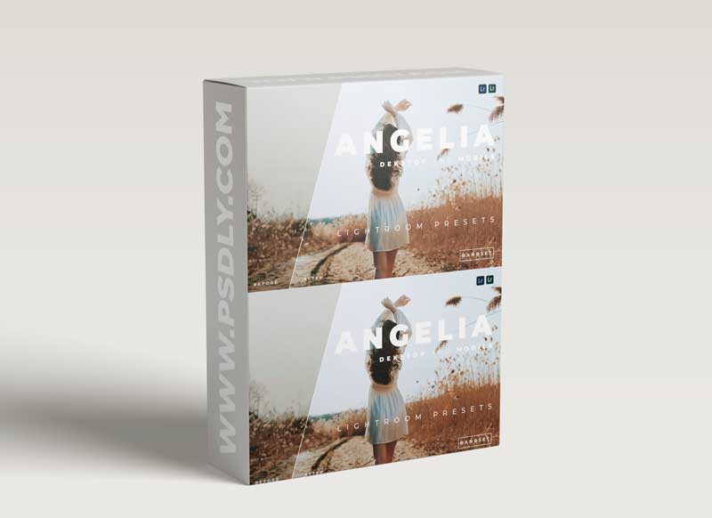 Angelia Desktop and Mobile Lightroom Preset