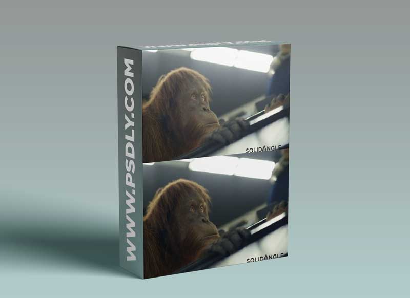 Arnold for Maya v4.2.1.1 For Maya 2018-2022