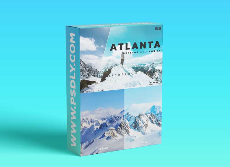 Atlanta Desktop and Mobile Lightroom Preset