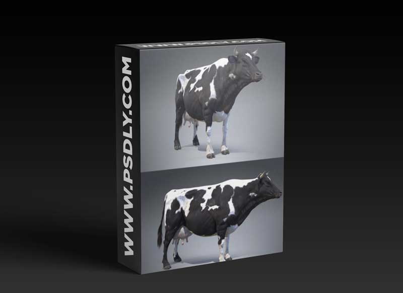 Black And White Milch Cow