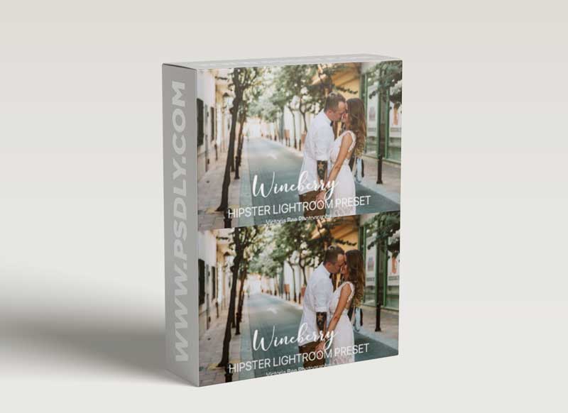 CM - WINEBERRY Hipster Lightroom Preset 2340407