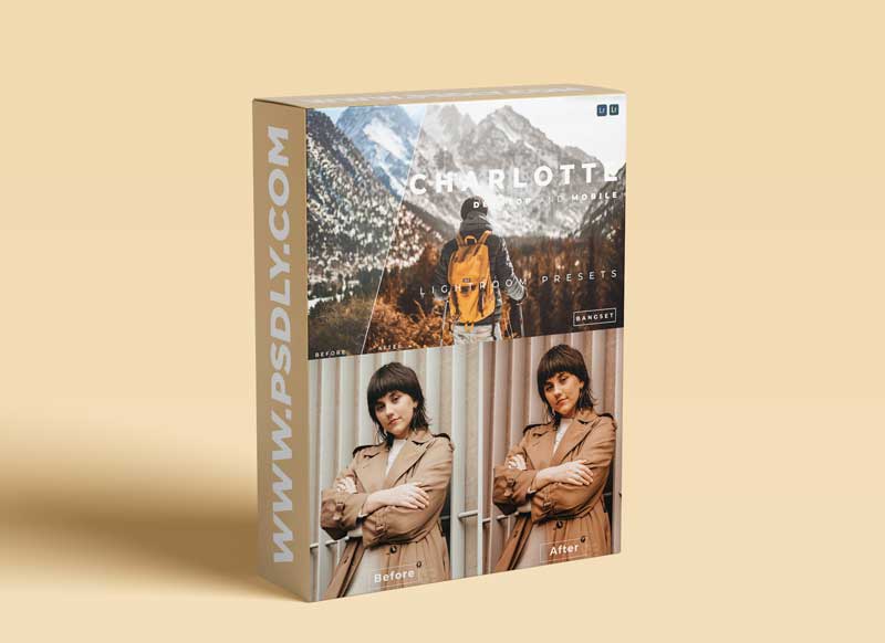 Charlotte Desktop and Mobile Lightroom Preset