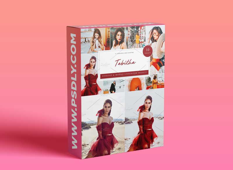 CreativeMarket - 10 x Lightroom Presets Tabitha 5962697