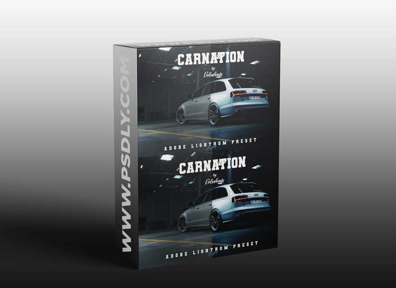 CreativeMarket - Carnation Adobe Lightroom Preset 5992399