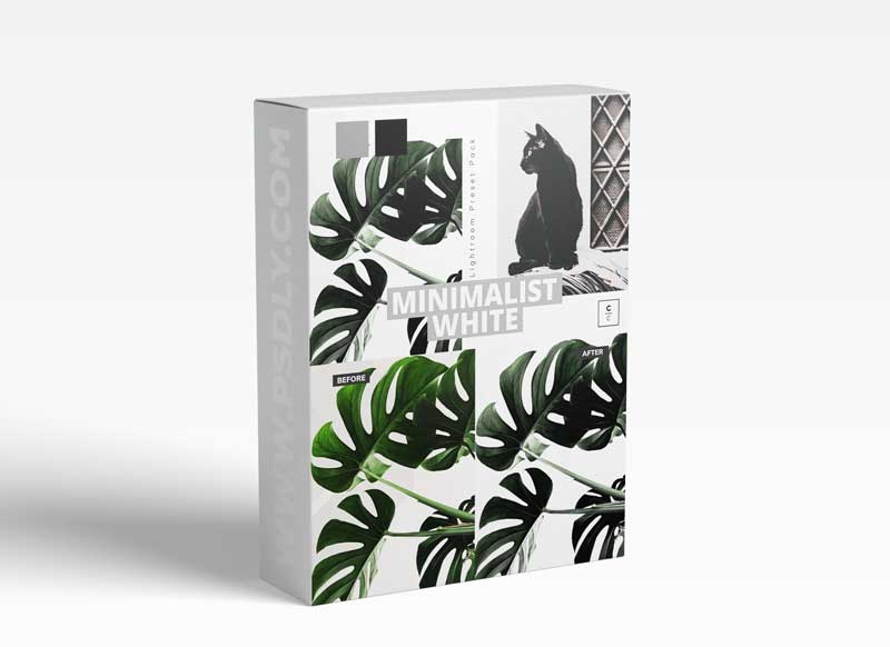 CreativeMarket - Minimalist White Lightroom Preset 5978148