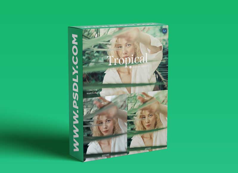 CreativeMarket - Tropical Lightroom Mobile Preset 5914234