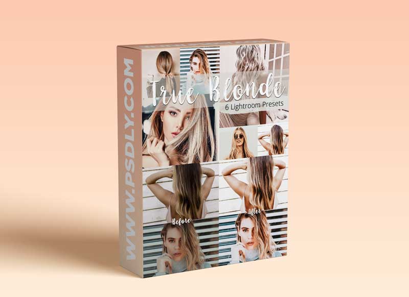 CreativeMarket - True Blonde - Lightroom Presets Pack 5923591
