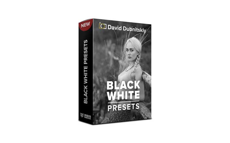 David Dubnitskiy - 20 B&W PRESETS