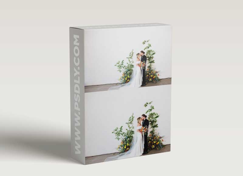 Eden Strader - Light & Airy + Moody presets