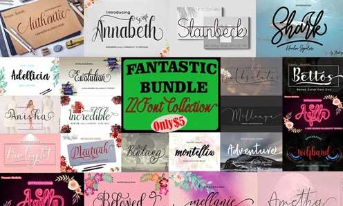 Fantastic Bundle - 22 Font Collection