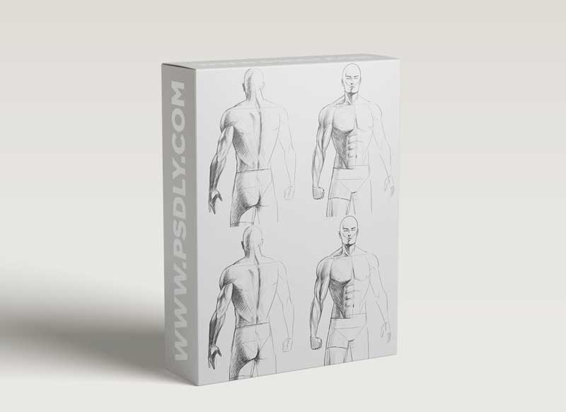 Figure Drawing Made Easy - Basic Body Proportions
