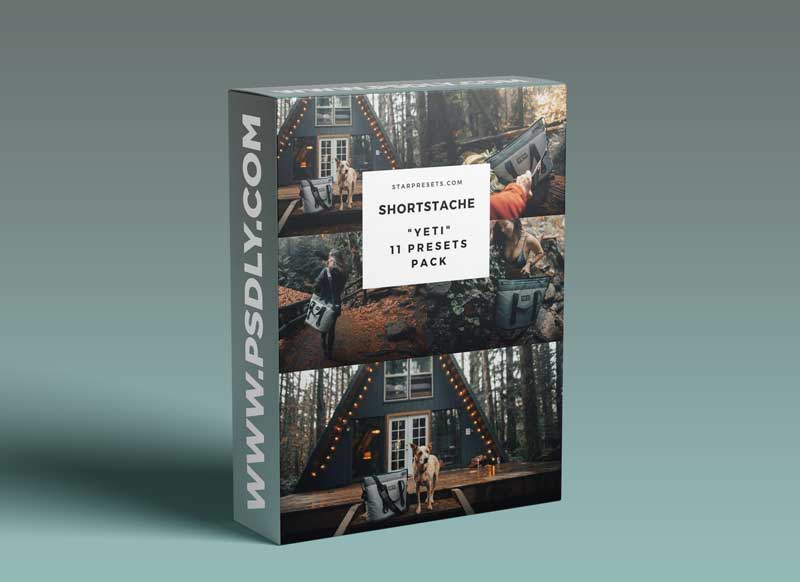 GARRETT KING PRESETS – “YETI”