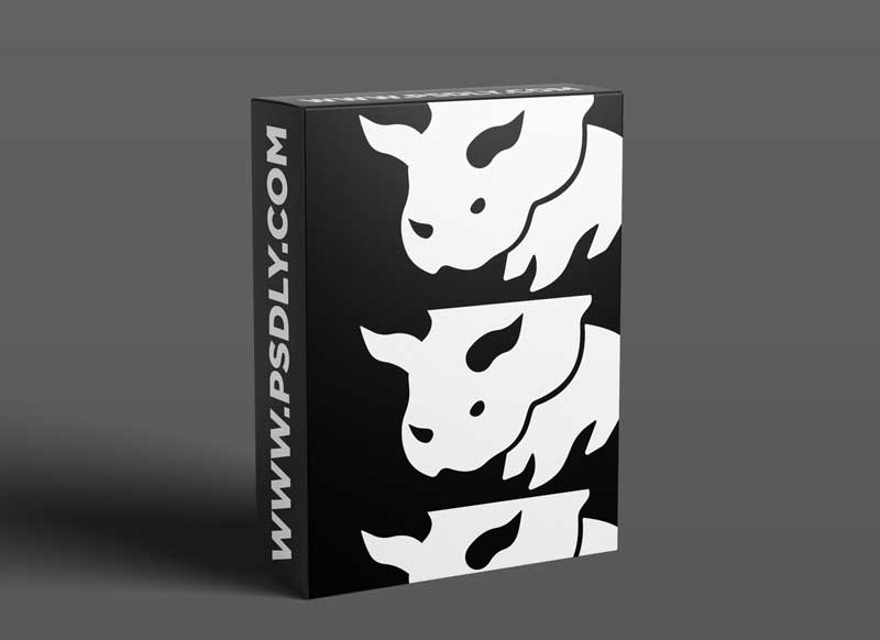 Illustrator 2021 One-on-One: Fundamentals