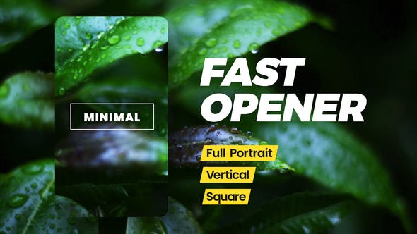 Videohive Instagram Fast Opener 30950884