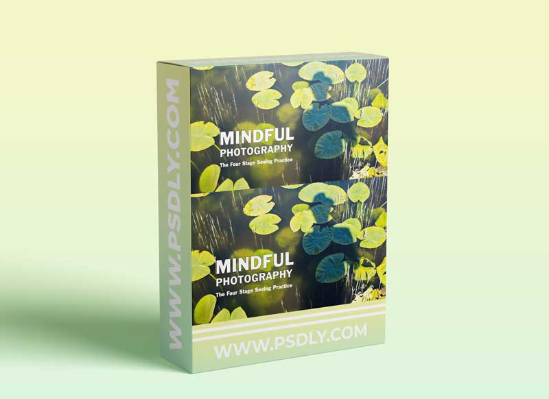 Mindful Photography: The Four Stage Seeing Practice