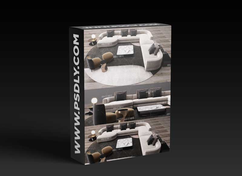 Modern fabric sofa combination 18