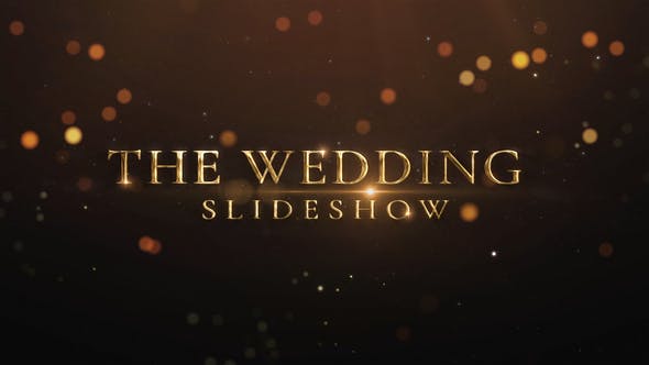 Videohive Wedding intro 23675487