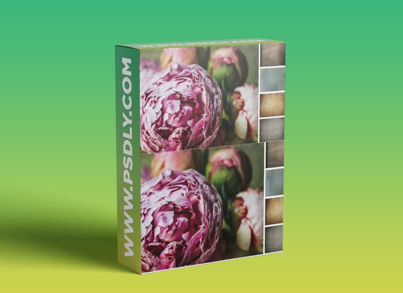 The Art of Using Textures in Your Photography